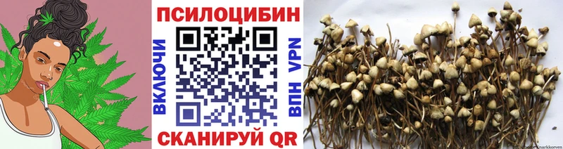 Галлюциногенные грибы ЛСД  Купить где  Кировск 